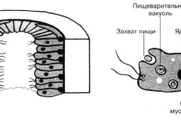 Кракен марихуана