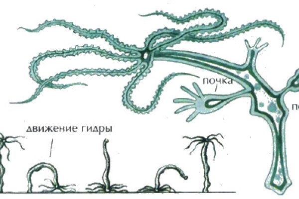 Не могу зайти на сайт кракен