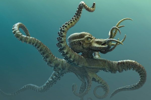 Kraken ссылка на сайт актуальная