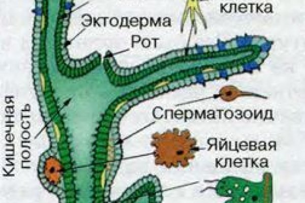 Маркет кракен маркетплейс
