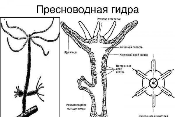 Кракен ссылка тор kraken014 com