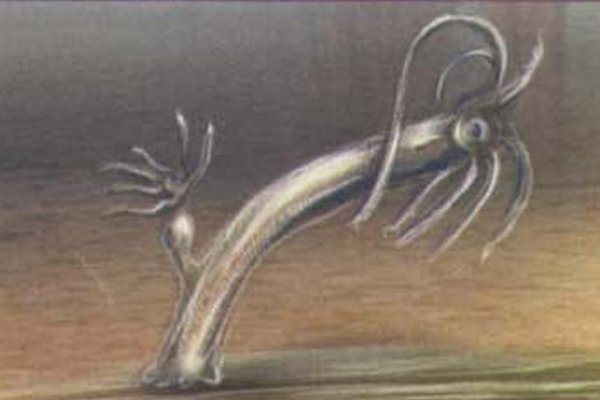 Kraken 23 at