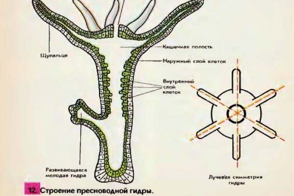 Как зайти на маркетплейс кракен