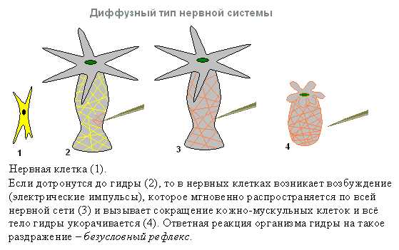 Как восстановить аккаунт в кракен